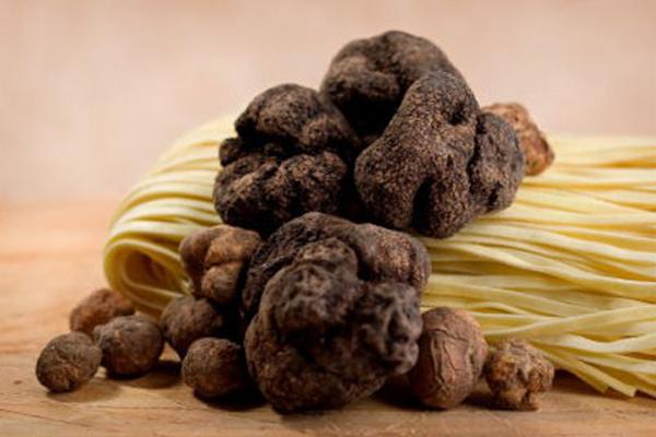 Tartufo nero 4